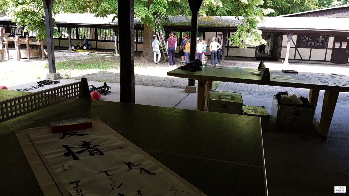 Interreg Judo Competition - U12 Abenteuerwochenende Speyer 26.06.2021